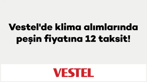Axess ile Vestel'de klima alımlarında peşin fiyatına 12 taksit!