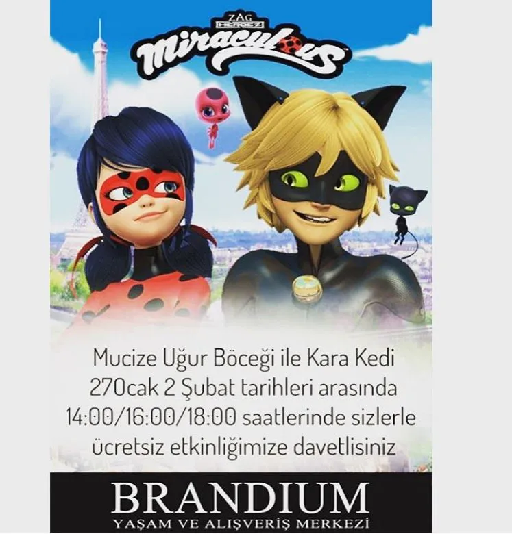Brandium AVM Mucize Uğur Böceği Kara Kedi! Brandium AVM Mucize Uğur Böceği Kara Kedi!