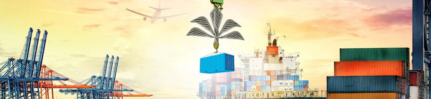 Kuveyt Türk'ten İhracata Sağlam Destek!