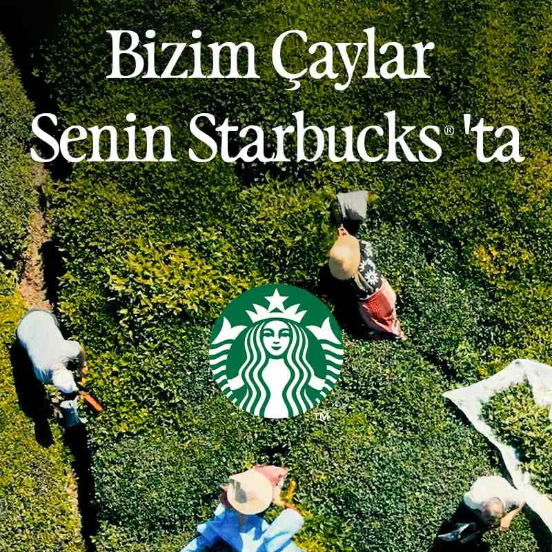 Starbucks Bizim Çaylar Kampanyası