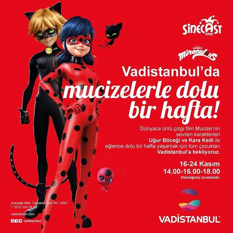 Vadi İstanbul Mucize Uğur Böceği ve Kara Kedi Müzikal Etkinliği!