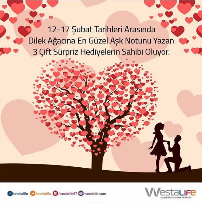 Westalife’da aşk başka!